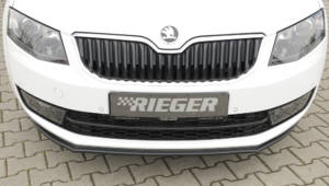 00079017 3 ≫ Tuning【 Rieger Oficial ®】